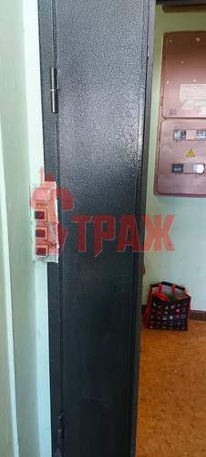 стандартная тамбурная дверь с двумя распашными створками - фото 5